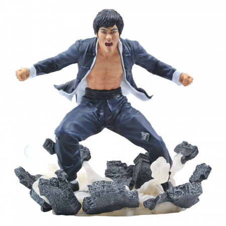 Bruce Lee Gallery PVC socha Earth 23 cm